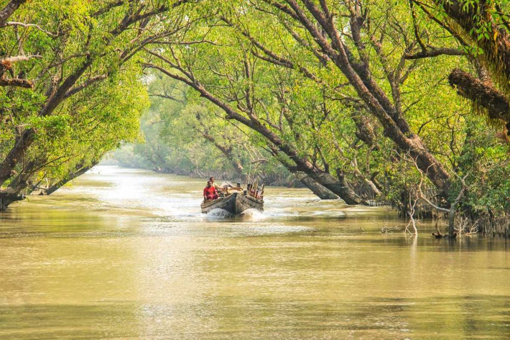 Sundarbans National Park India's